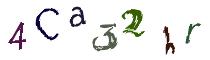 Beeld-CAPTCHA