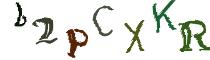 Beeld-CAPTCHA