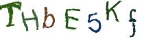 Beeld-CAPTCHA