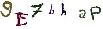 Beeld-CAPTCHA