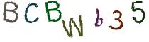 Beeld-CAPTCHA