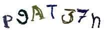 Beeld-CAPTCHA