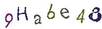 Beeld-CAPTCHA