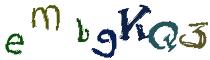 Beeld-CAPTCHA