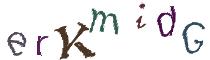 Beeld-CAPTCHA