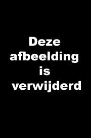 [Afbeelding verwijderd op last van de auteursrechthebbende. Red. Indymedia NL]