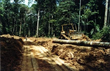 Secondary road within the Precious Woods mangement area