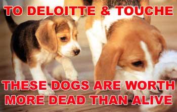 deloitte - puppykillers