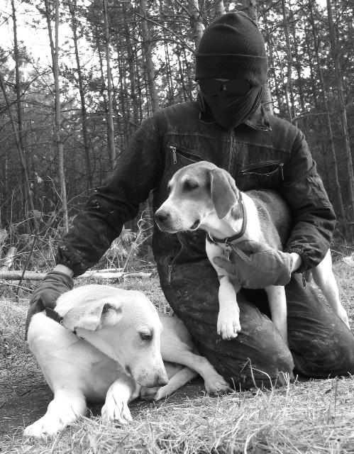 honden bevrijd uit Harlan