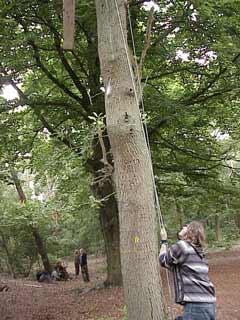 omhoogheisen van hout voor boomhut