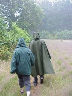 en toen regende het heel hard... tijd voor een wandeling