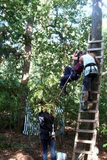 een activiste wordt uit de boom geplukt door de nep-ME