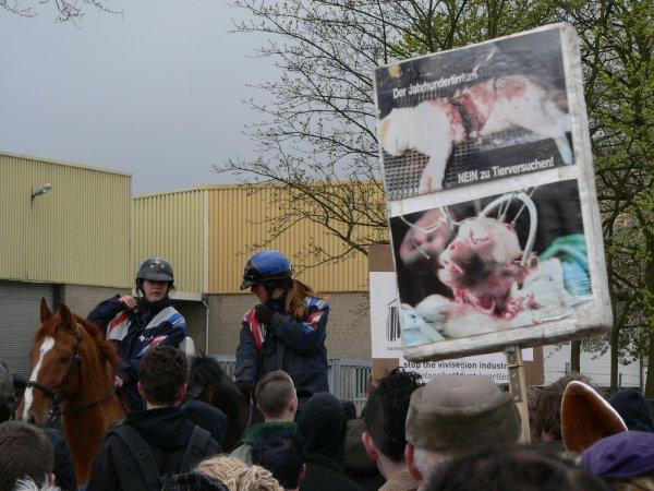 Fotoreportage: Int.demo tegen vivisectie