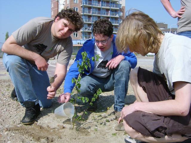 De boom is geplant en krijgt nu ook te drinken