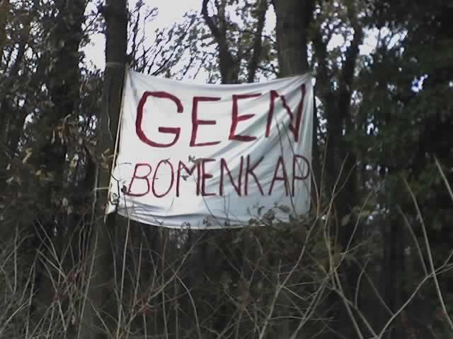 spandoek in bos