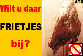 Wilt u daar frietjes bij?