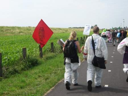 een groep nadert het ggo-maisveld