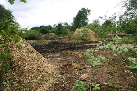 hoopjes versnipperde bomen