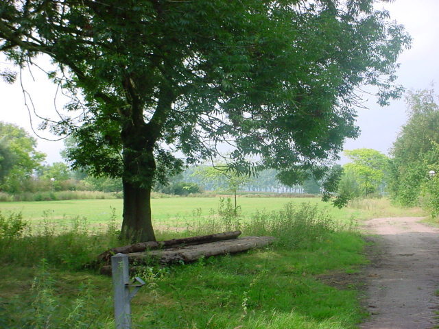 'bouw' terrein Wageningen oktober 2004