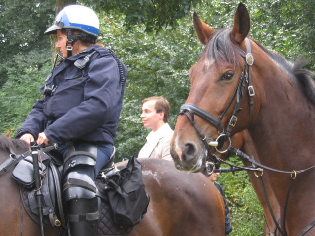 Michiel Smit omringt door politie parden en stillen...