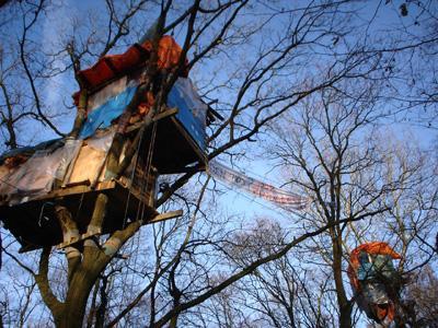 Boomhutten in Schinveld