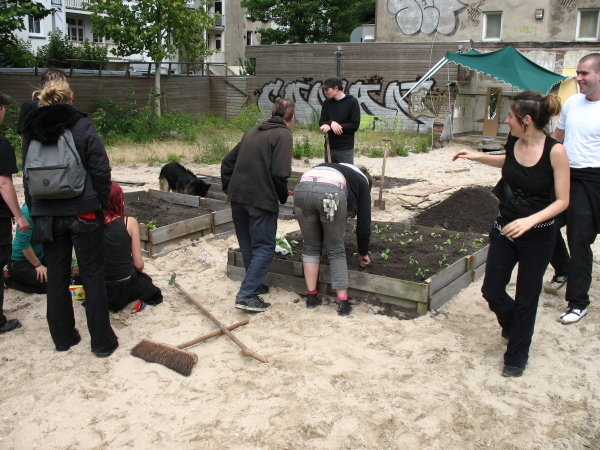 werk aan de groente tuin