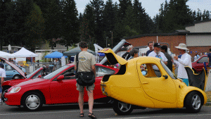 Electric Vehicle Plug In