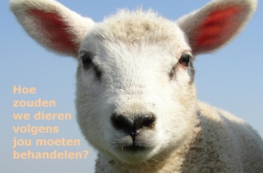 Dus kom in actie voor de dieren!