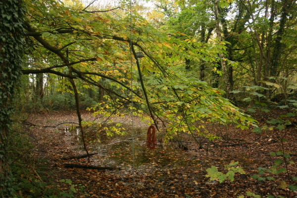 Wonen aan het water