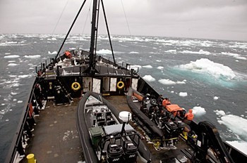 The Steve Irwin navigates through a large field of growlers 