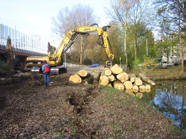 Alles wat overblijft van de onrechtmatig gerooide bomen