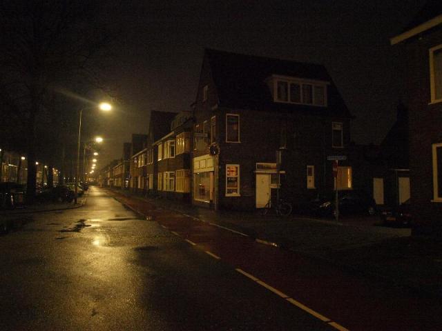 overzichts foto van het hoekpand Kwartelstraat/ Speelhuislaan