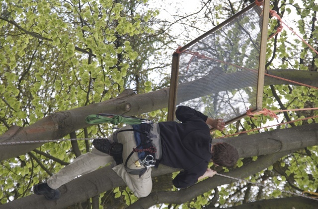 Met een klein provisorisch boomhutje 