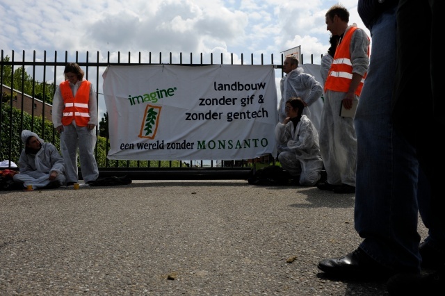 actie bij monsanto