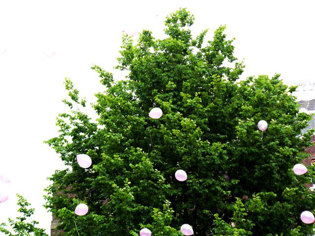 Pink balloons going up with a message of hope, respect and tolerance