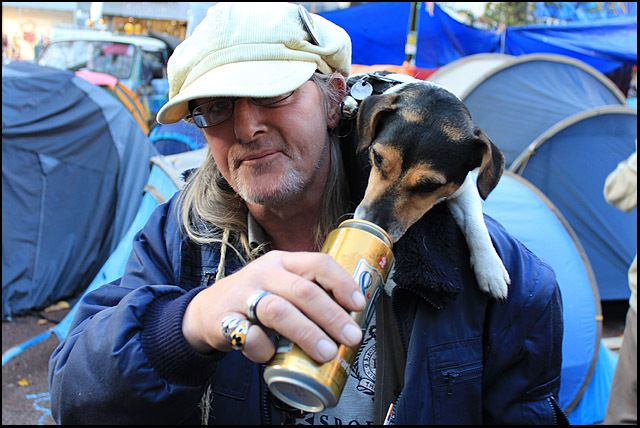 Hond aan de drank