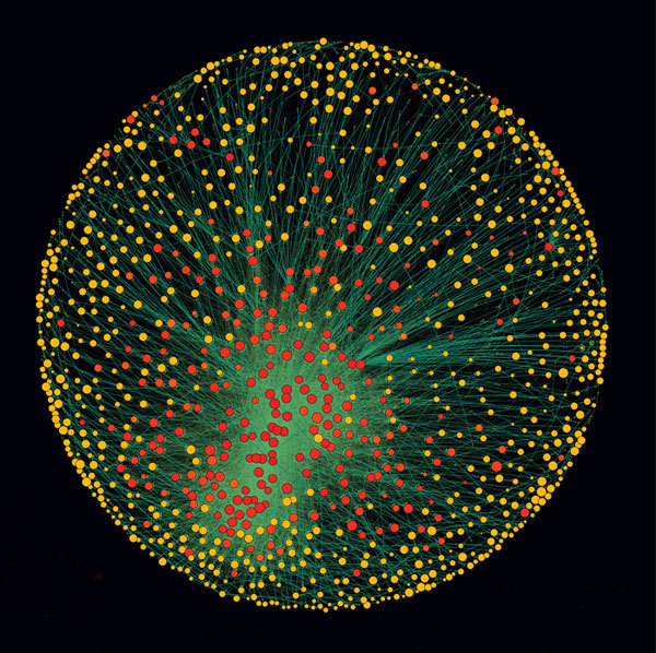 The 1318 transnational corporations that form the core of the economy.