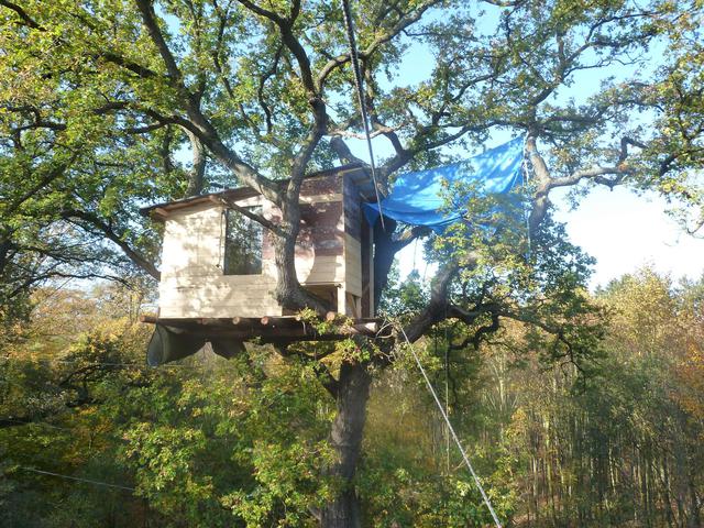 Hambacher Forst occupation