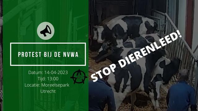 Vrijdag 14 april: (Utrecht) Protest bij de NVWA, 13 u. Moreelsepark