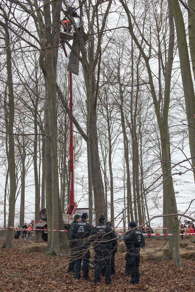 Hambacher Forst occupation