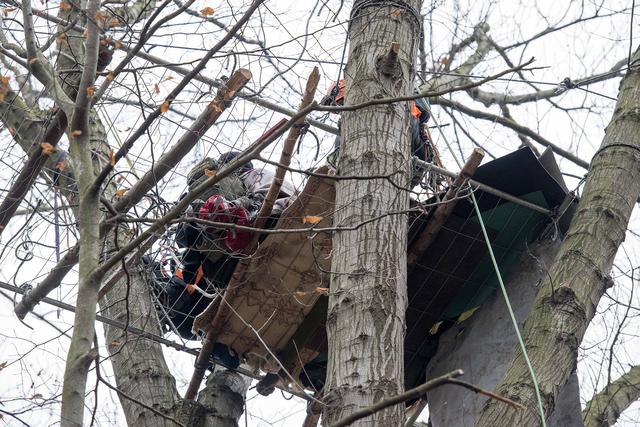 Hambacher Forst occupation