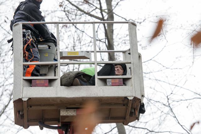 Hambacher Forst occupation