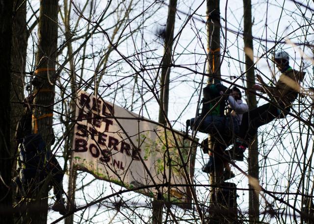 Sterrebos bezet!