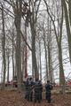 Hambacher Forst occupation